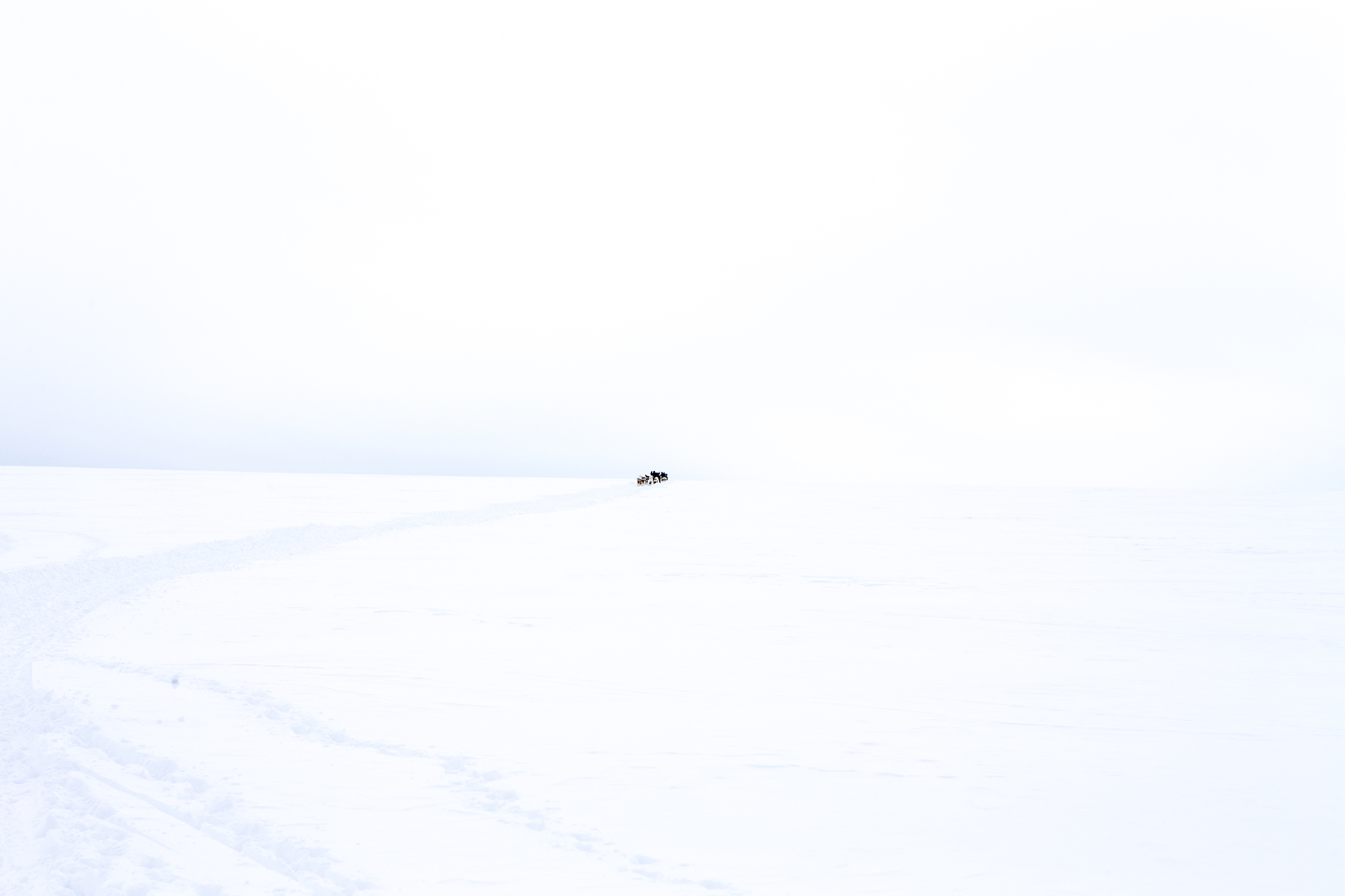 untitled-3736.jpg