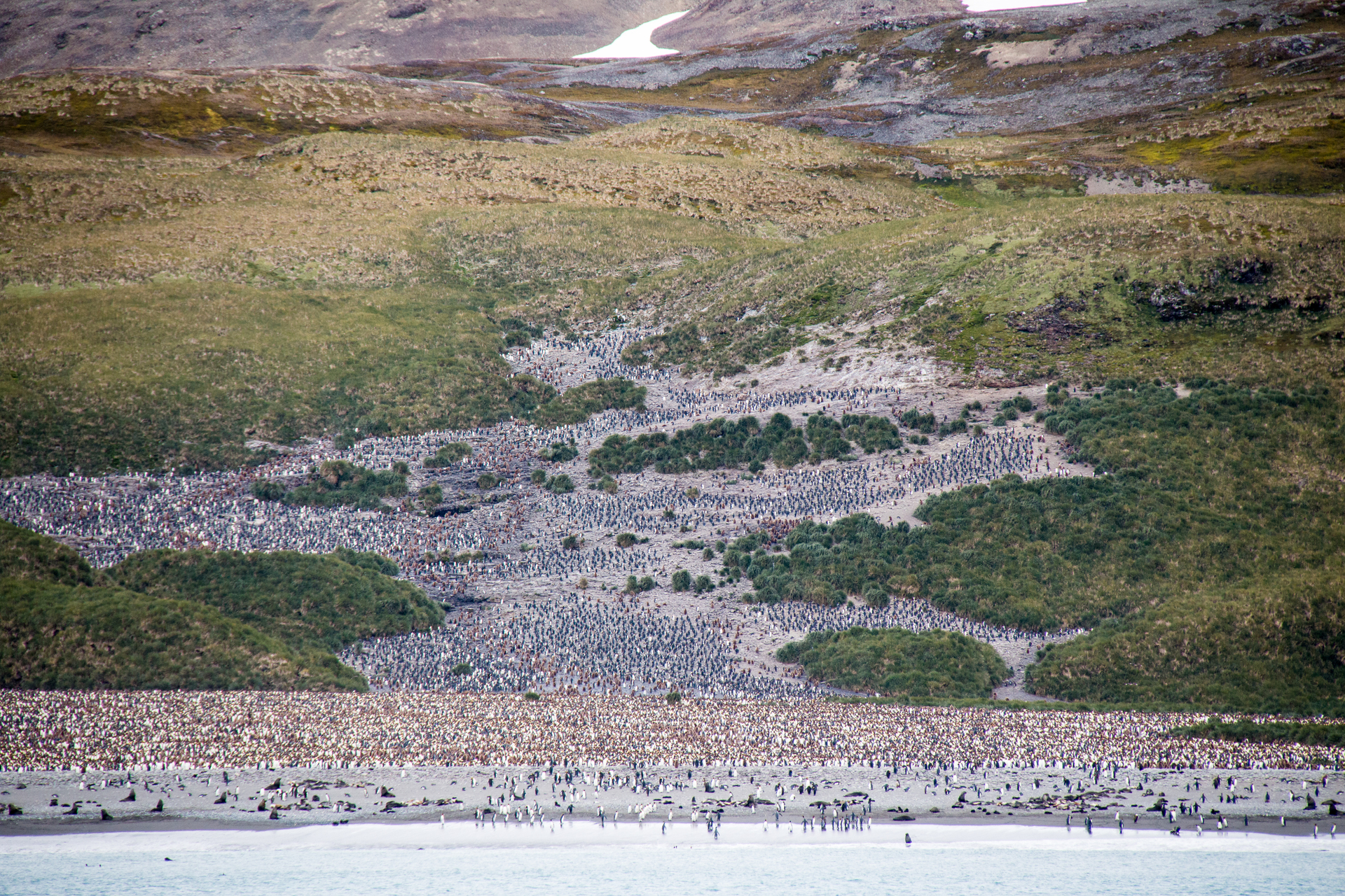 IMG_7637.jpg