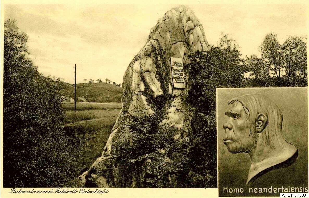 Neandertal 1910.jpg