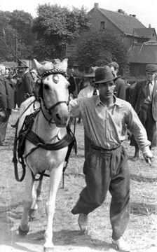 Sinto auf dem Pferdemarkt, um 1928.jpg