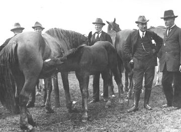 um 1930.jpg