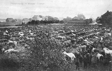 Cranger Pferdemarkt, um 1903.jpg
