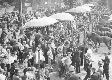 1952.jpg