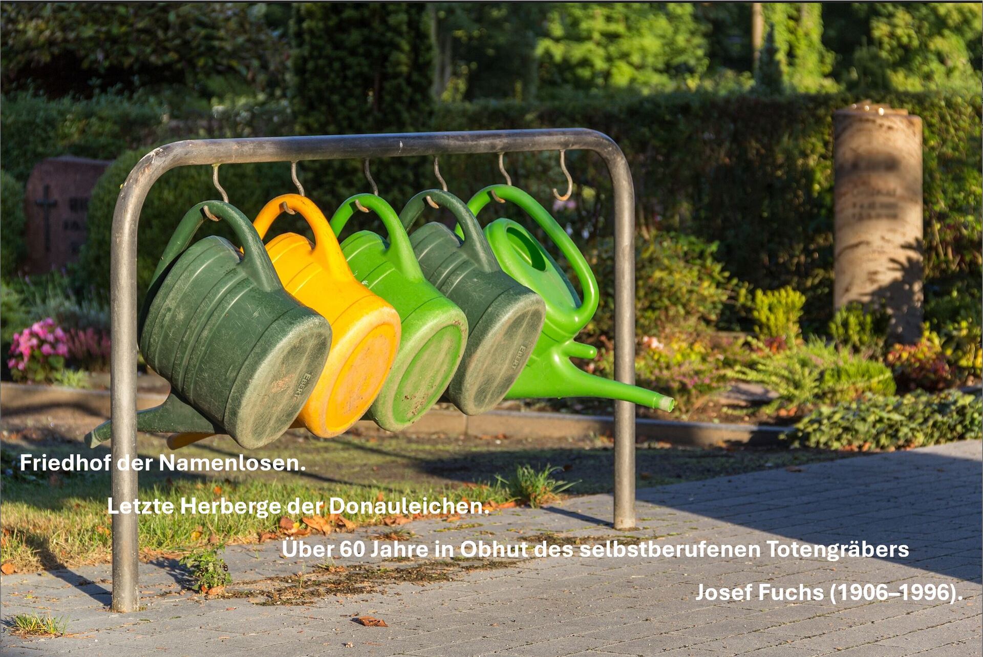 Friedhof der Namenlosen Gießkannen.JPG