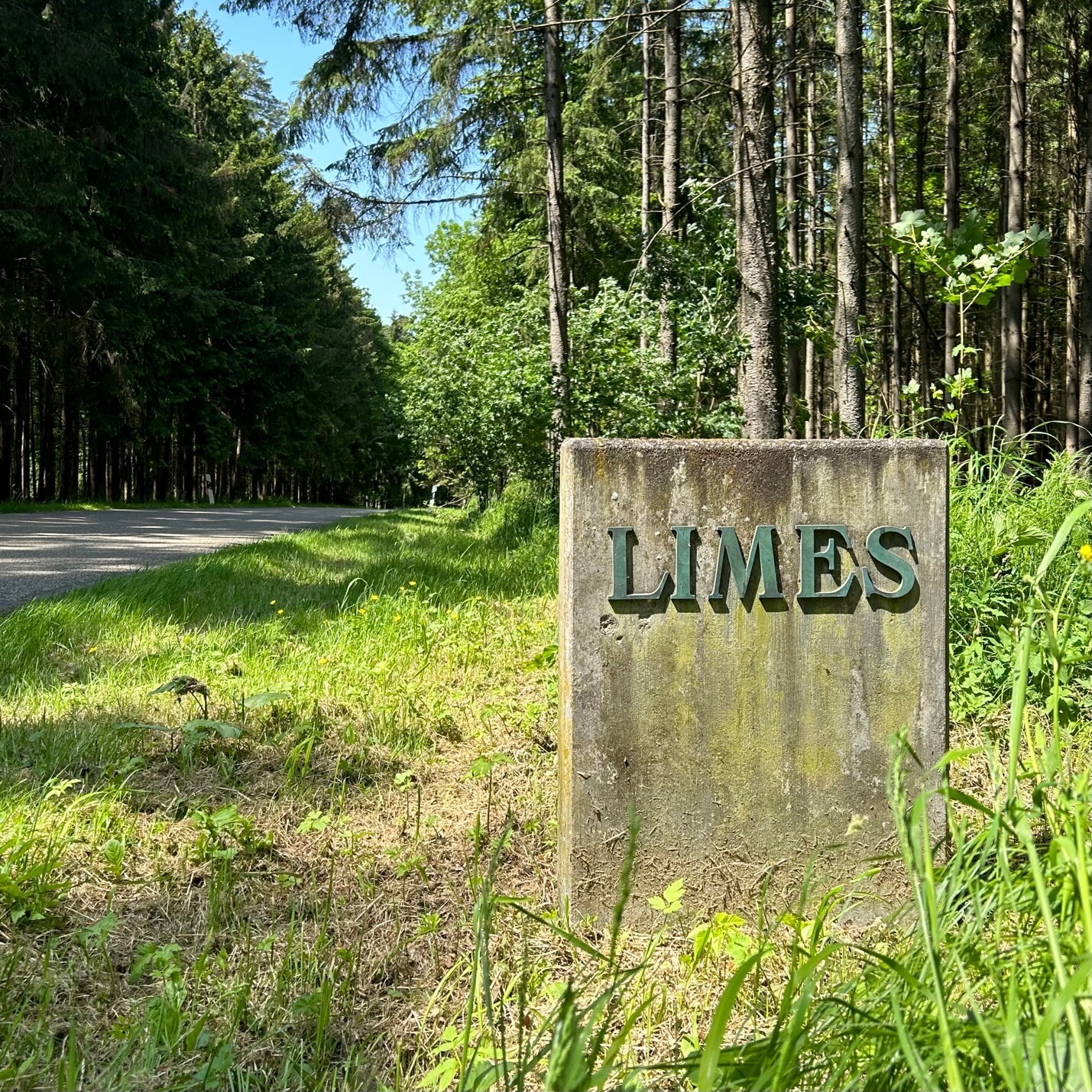 Limes_bei_Düren_westl_WP_13-24_1_klein_c_BLfD_Foto_M_Gschwind.JPG Limes_bei_Düren_westl_WP_13-24_1_klein_c_BLfD_Foto_M_Gschwind.JPG