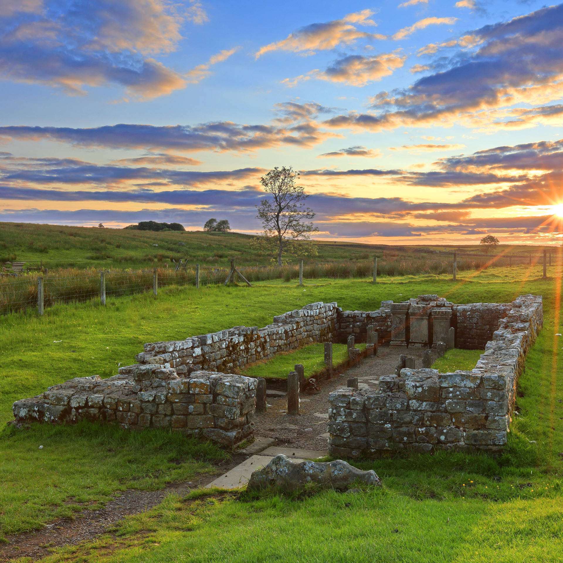 Abb.3_HW173A1 BROCOLITIA HADRIAN_S WALL_DxO x(1).jpg