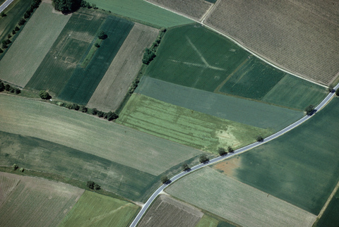 Abb.5_Pförring_Sommer_Abb.02.jpg