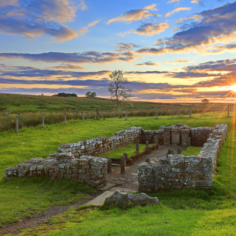 Abb.3_HW173A1 BROCOLITIA HADRIAN_S WALL_DxO x(1).jpg