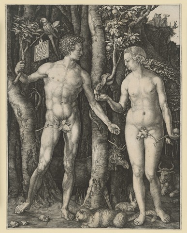 Adam_und_Eva_Dürer_Adam_Eva_1036855.jpg
