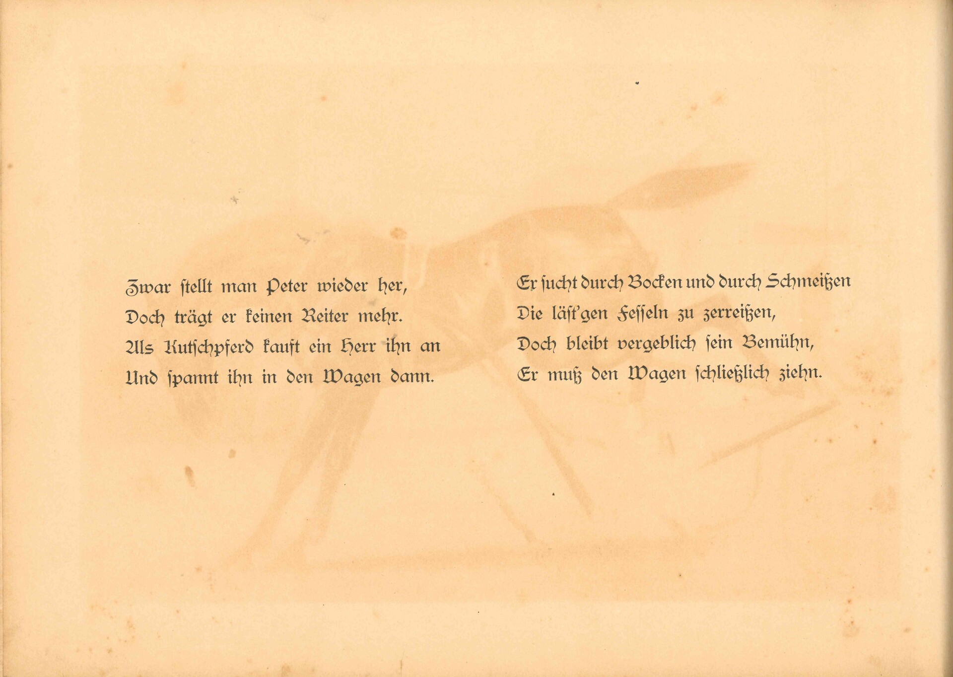 18.jpg 18.jpg
