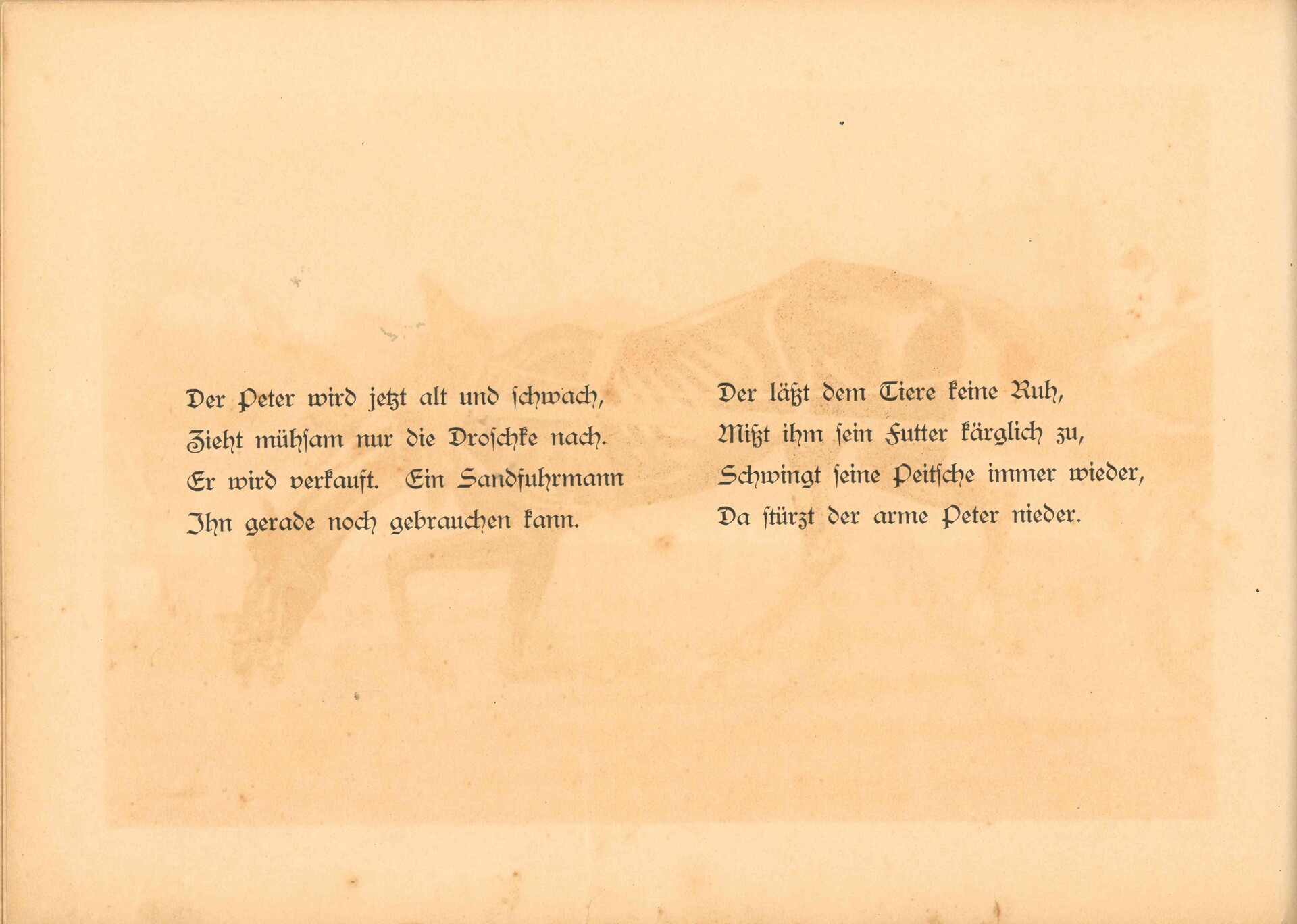 22.jpg 22.jpg
