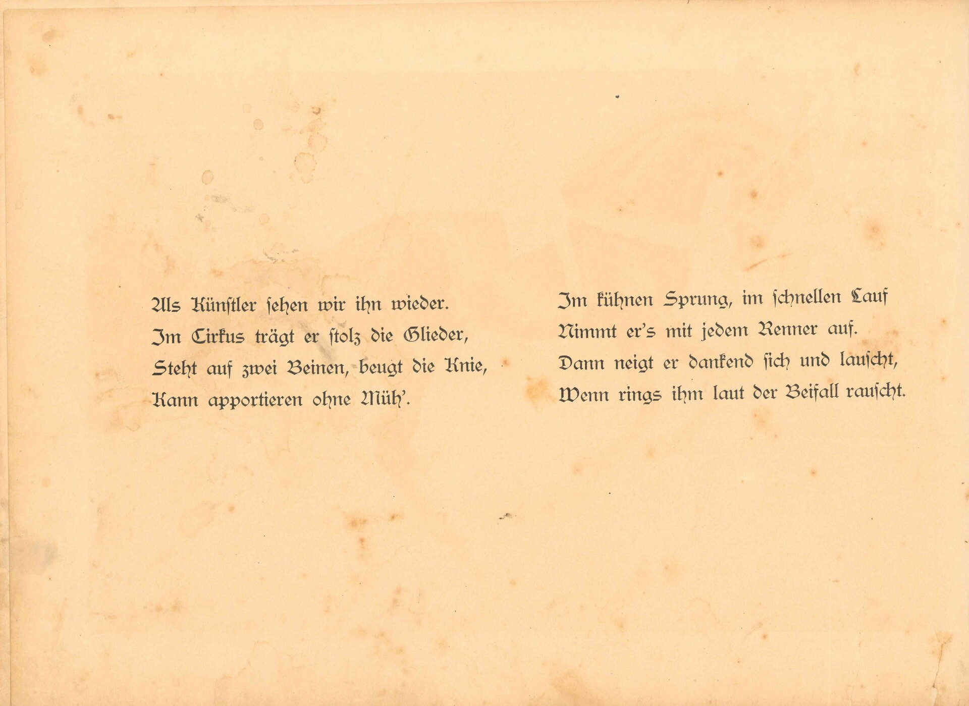 10.jpg 10.jpg