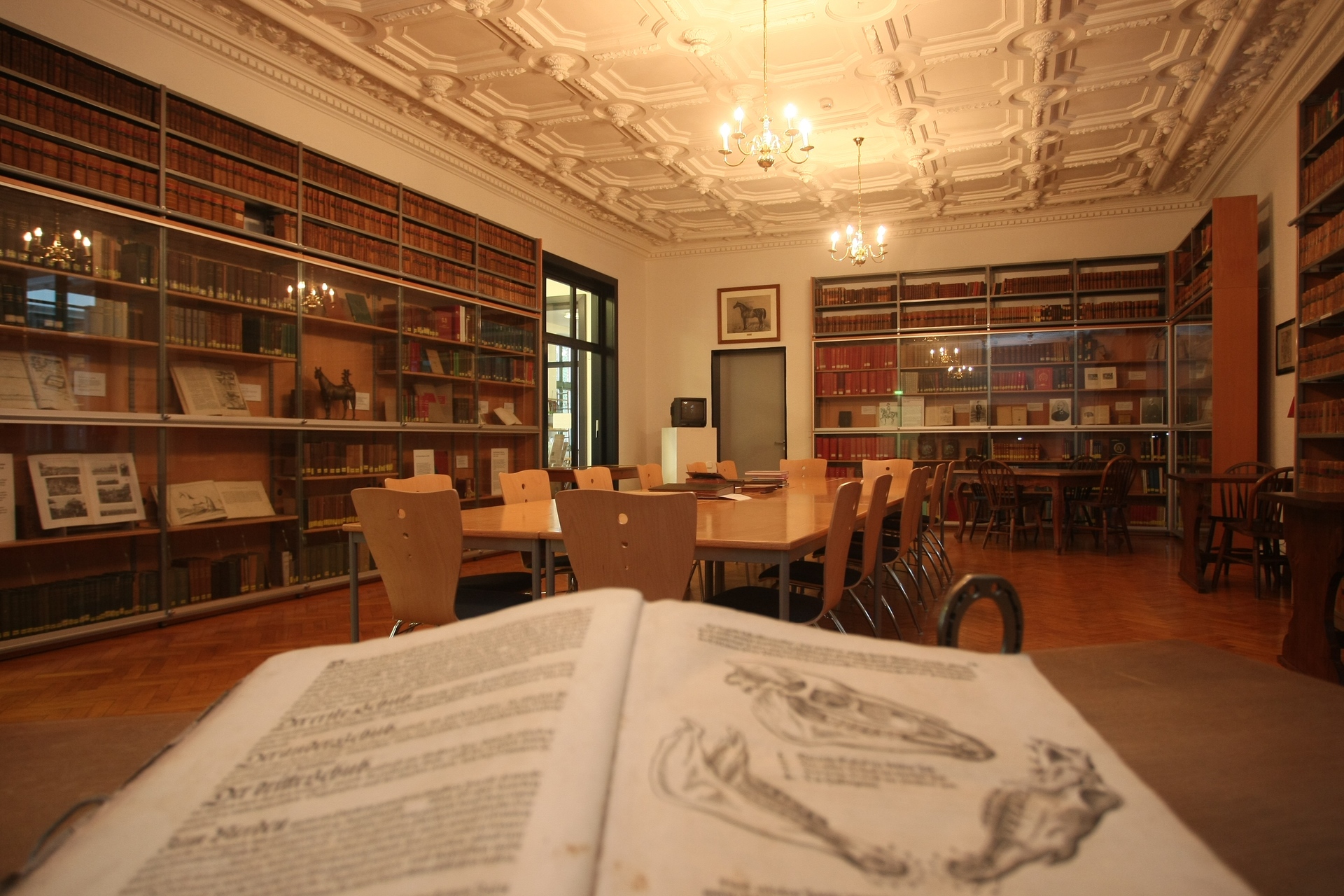 Nr. 2_Pferdemuseum Verden Bibliothek_Stuckraum_Foto Christian Kosak.jpg Nr. 2_Pferdemuseum Verden Bibliothek_Stuckraum_Foto Christian Kosak.jpg