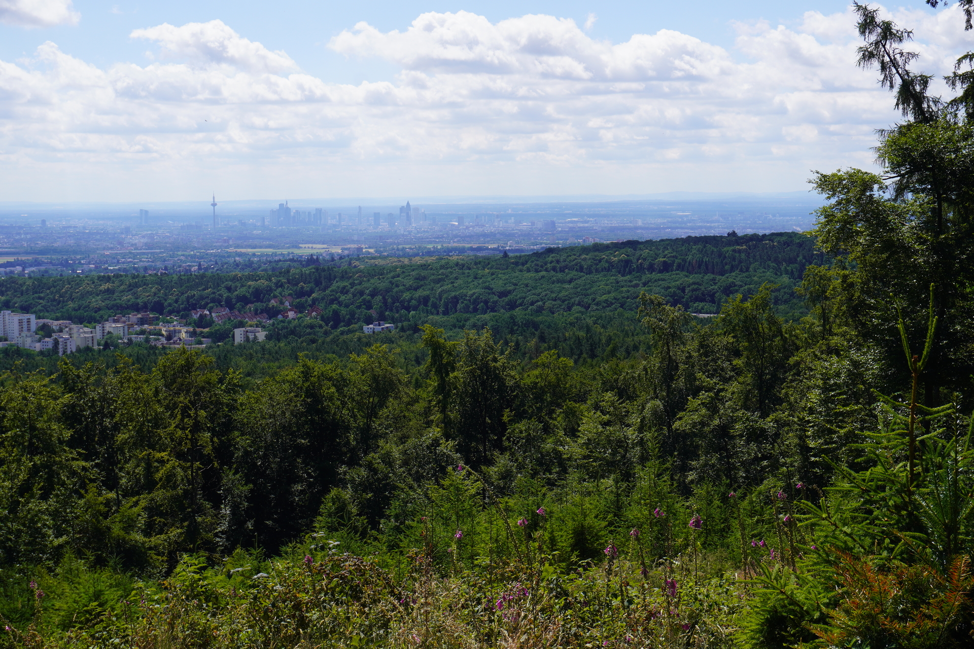 DSC02678.JPG