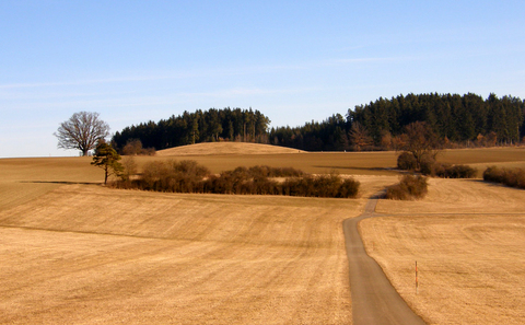 Magdalenenberg_bei_Villingen.jpg