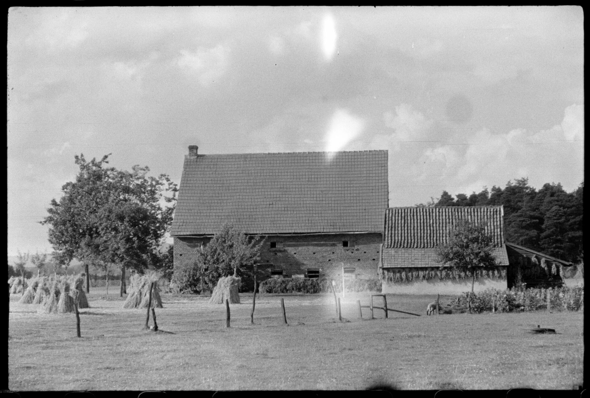 Orte_KottenBeiSiedinghausen1946_C 01 20-145-037.jpg