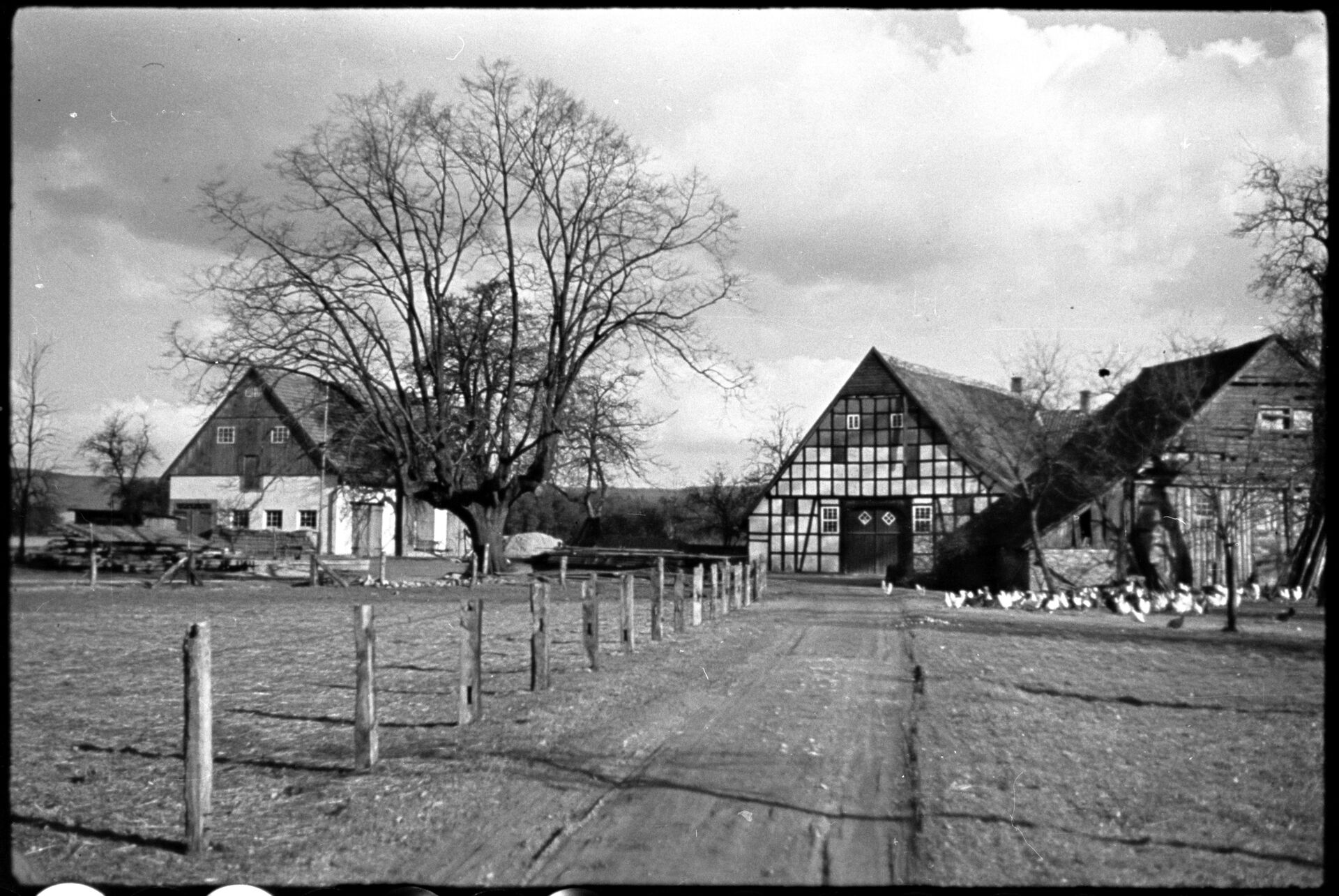 Orte_HofFrielingBockhorstUm1940-C 01 20-73-002.jpg