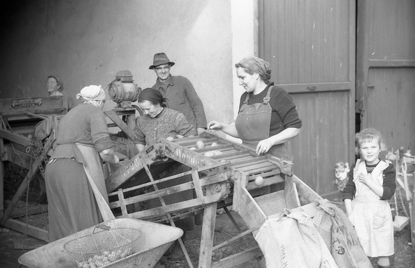 Landwirtschaft-Kartoffeln1960-C01 20-11-035.jpg