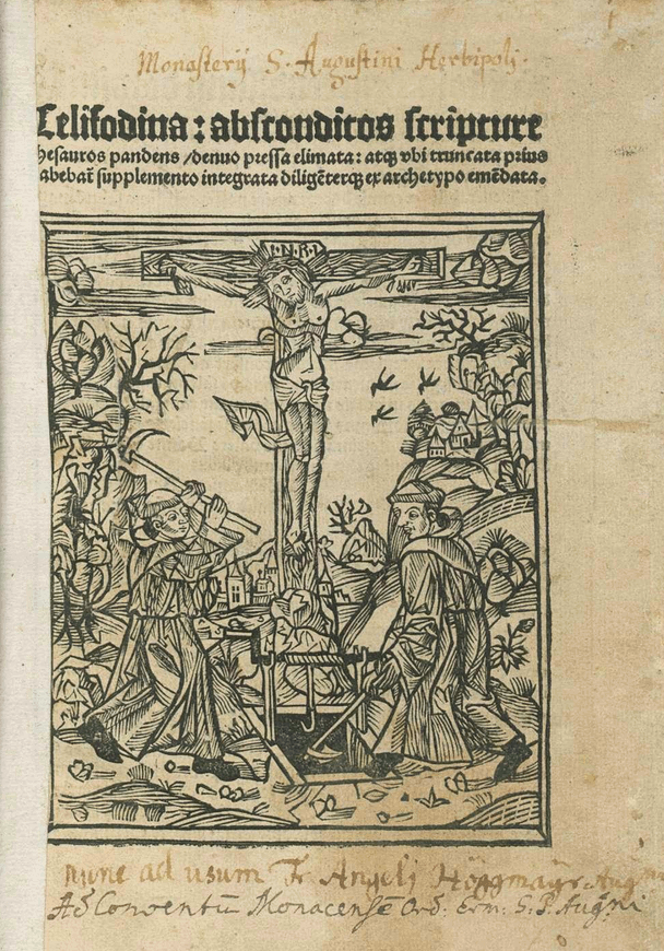 Coelifodina 1504, beschnitten.gif