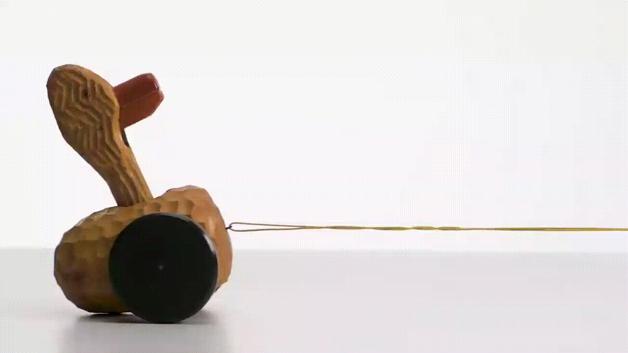 Spielzeug-Ente.gif Spielzeug-Ente.gif