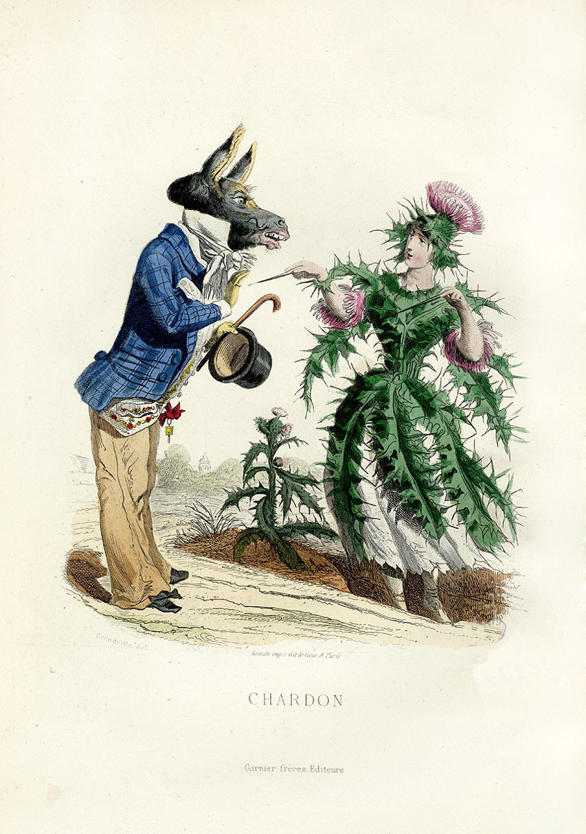 Grandville: Les fleurs animées (Die Seele der Blumen), Paris: Garnier frères, 1867.