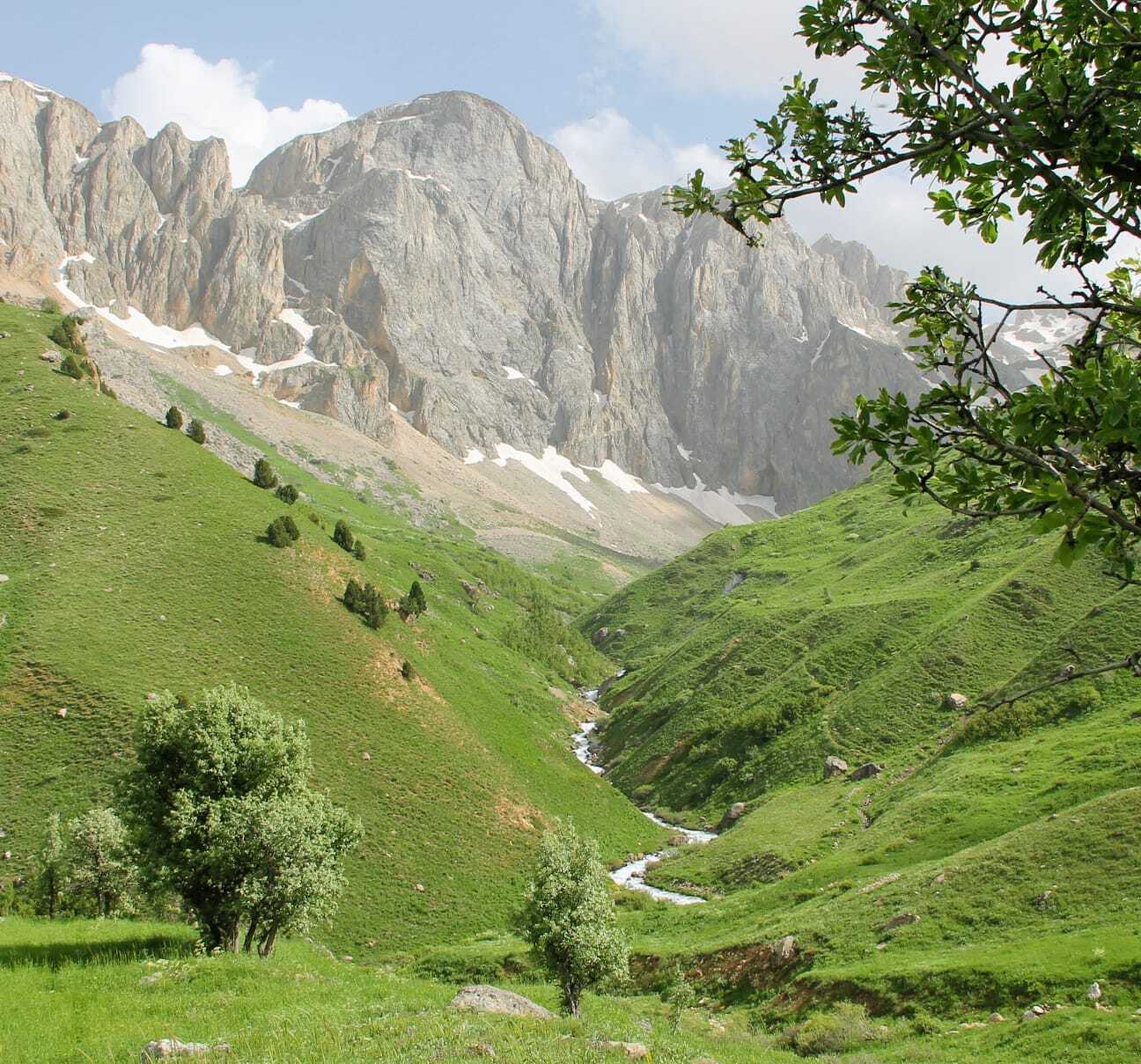 nursat yesil2.jpg nursat yesil2.jpg
