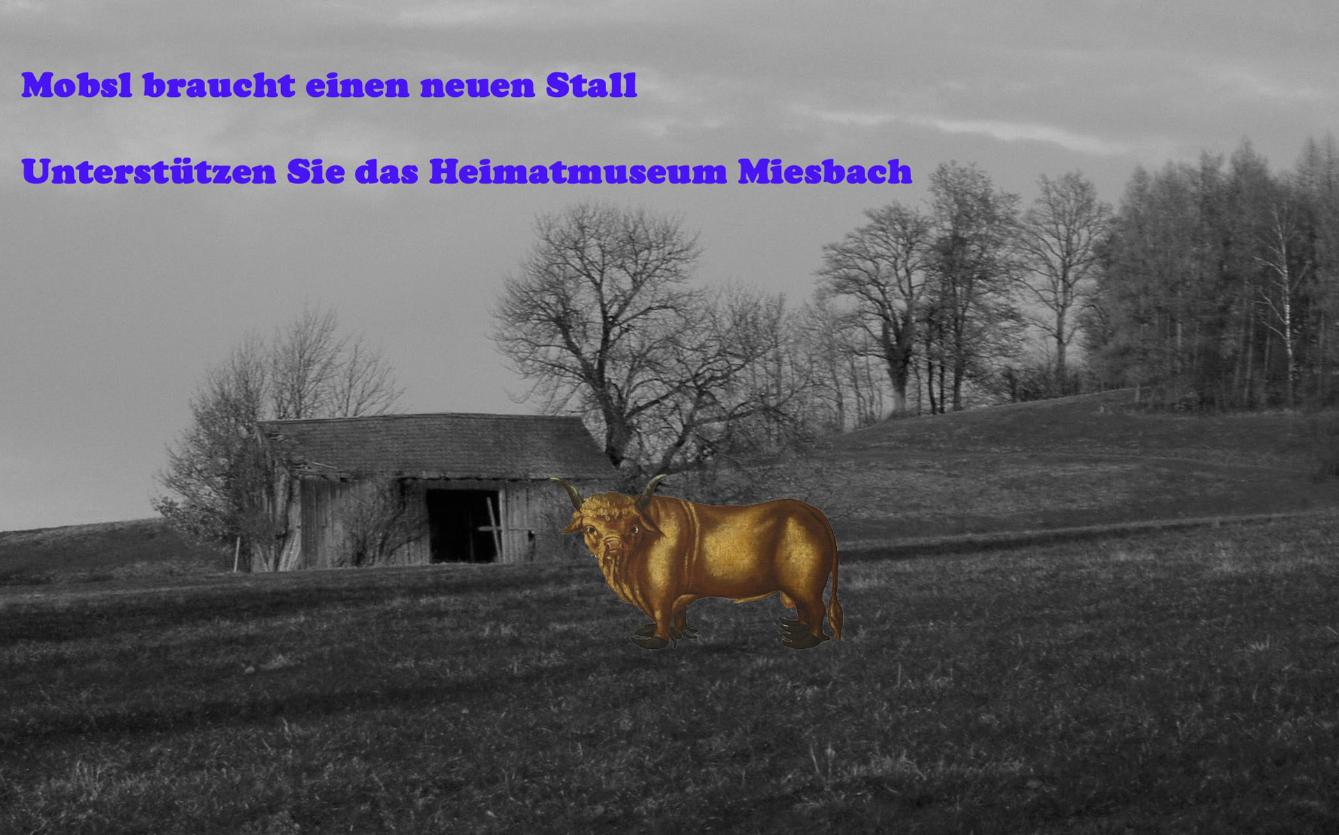 86 Mobsl für Heimatmuseum.jpg