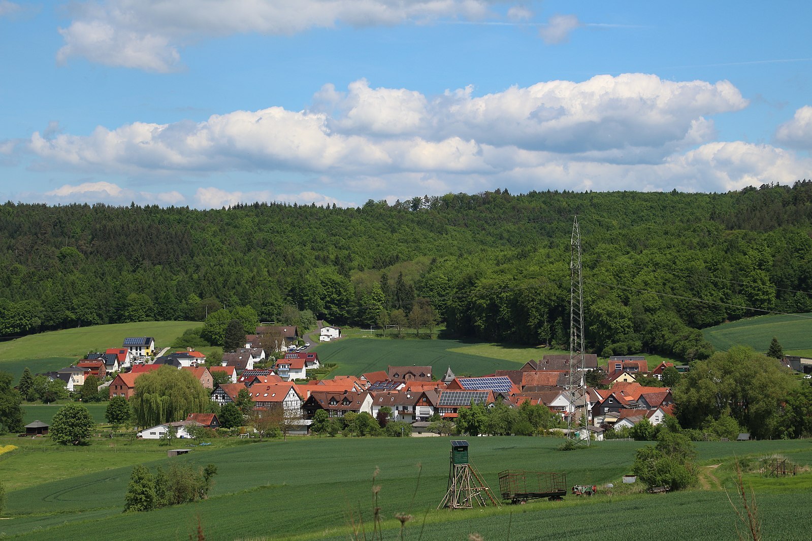 Bortshausen_(Marburg)_(004).jpeg