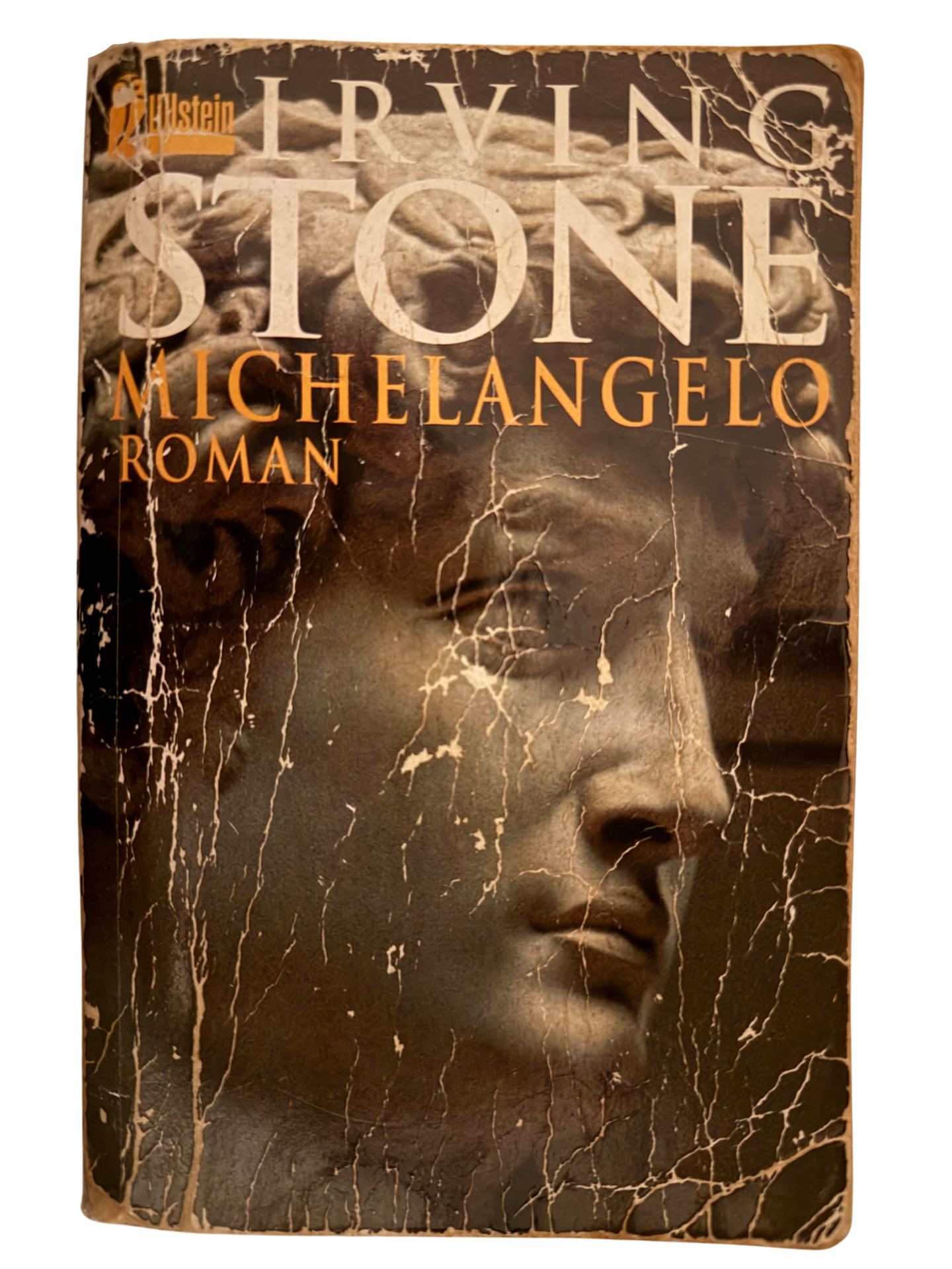 Buchcover_Irving_Michelangelo.png