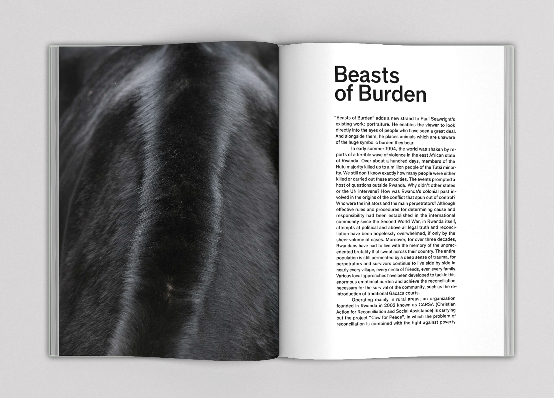 Paul Seawright Beasts of Burden p 64-65.jpg
