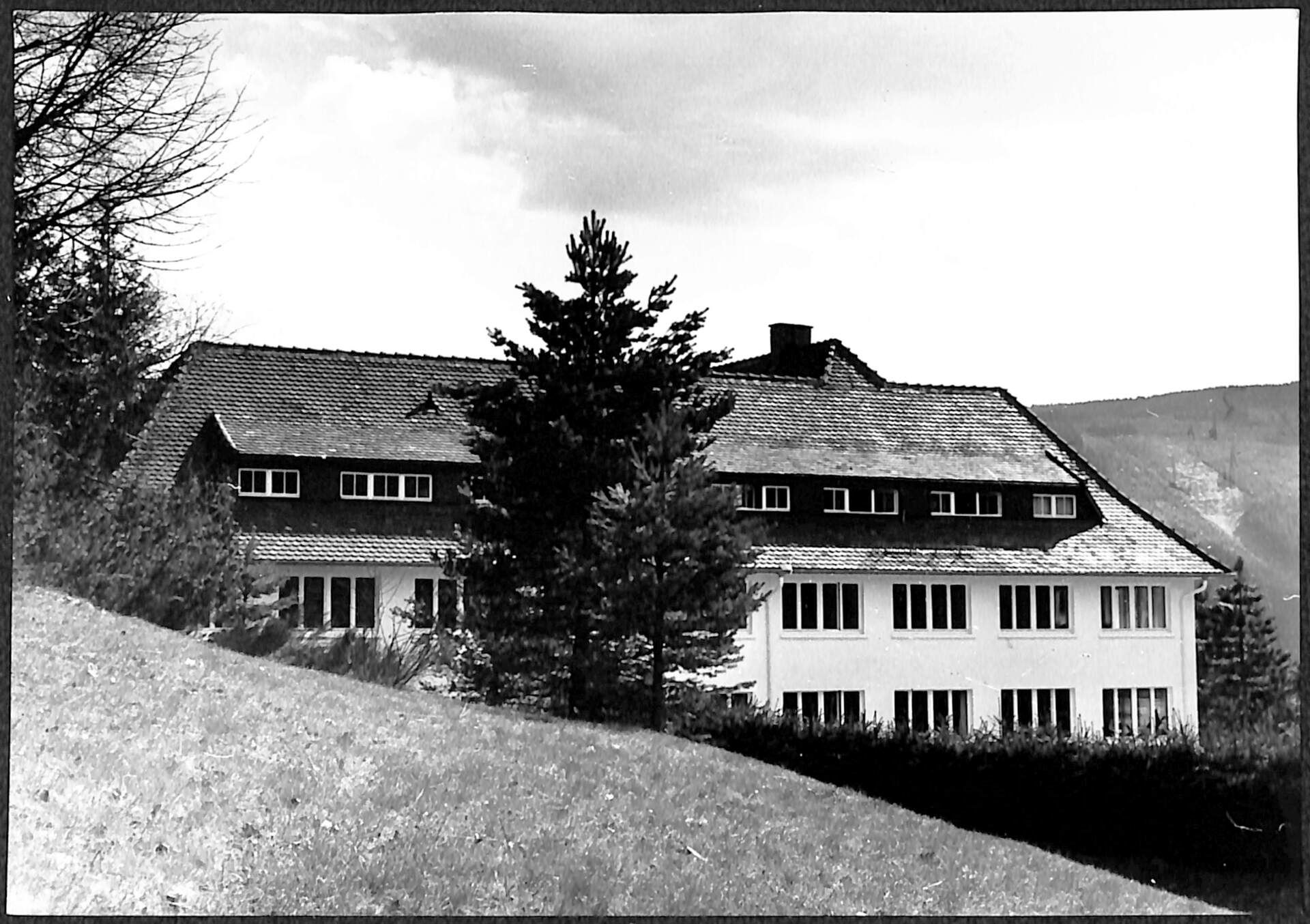 Bild 0036.jpg Bild 0036.jpg