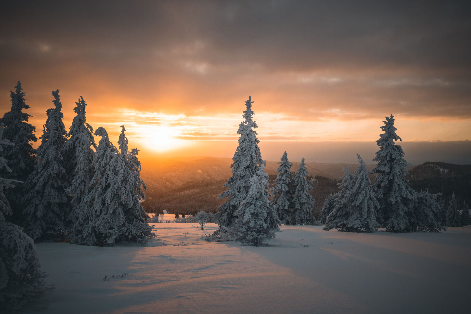 Verschneite Schwarzwald-Landschaft am Seebuck.jpg Verschneite Schwarzwald-Landschaft am Seebuck.jpg