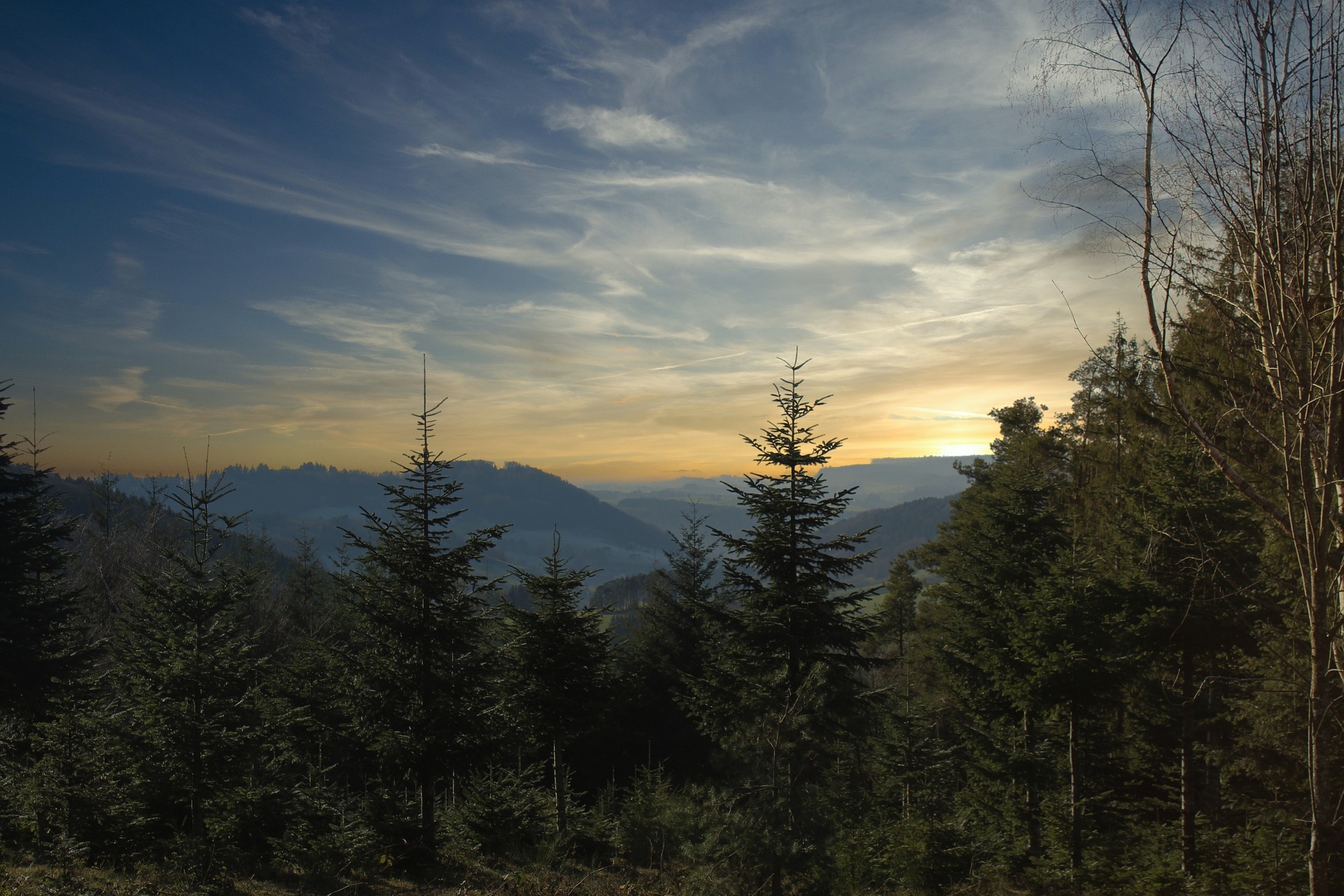 Schwarzwald-Pixabay01.jpg Schwarzwald-Pixabay01.jpg