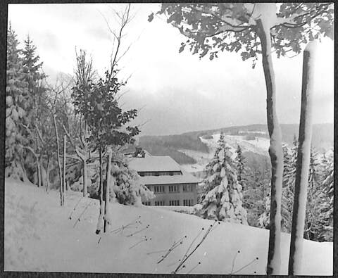 Bild 0091.jpg