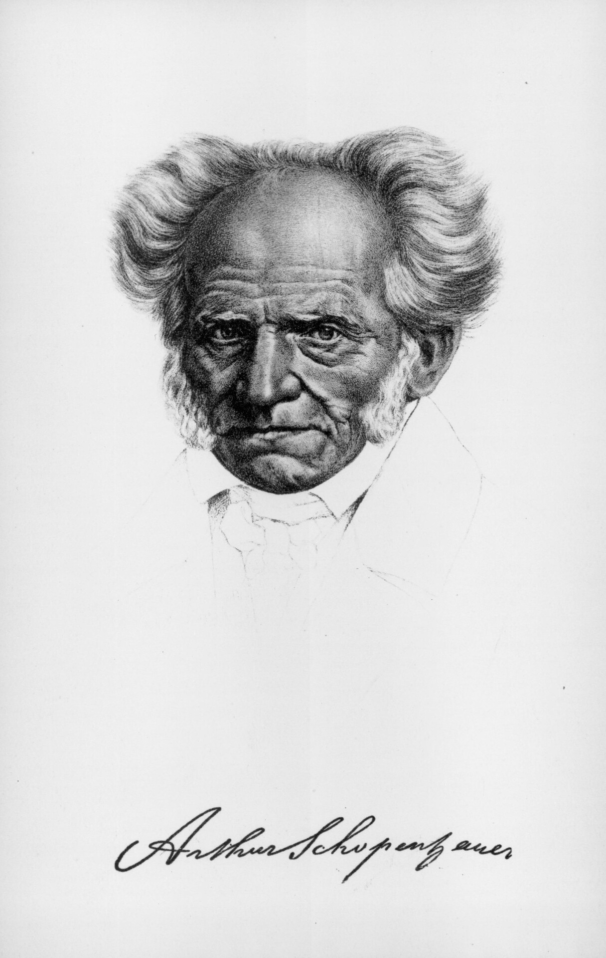 Arthur Schopenhauer, Brustbild.jpg