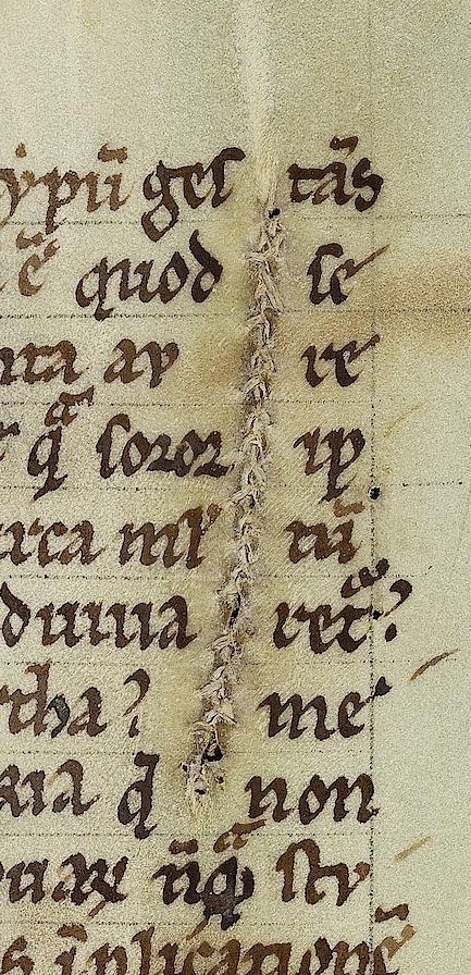 Abb. 04 Hs 42 fol 77r.jpg Abb. 04 Hs 42 fol 77r.jpg