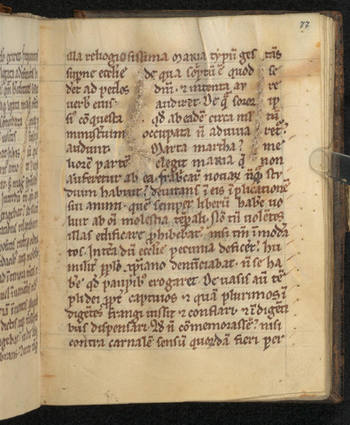 Abb. 04 Hs 42 fol 77r_groß.png