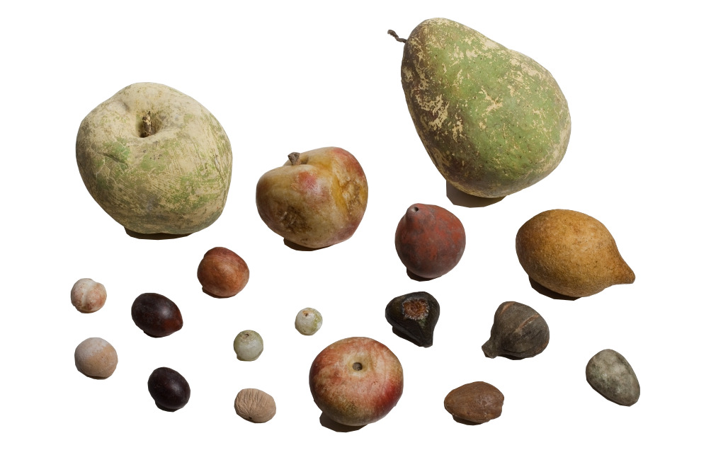 Salvador’s fruit models found in 2013. Salvador’s fruit models found in 2013.