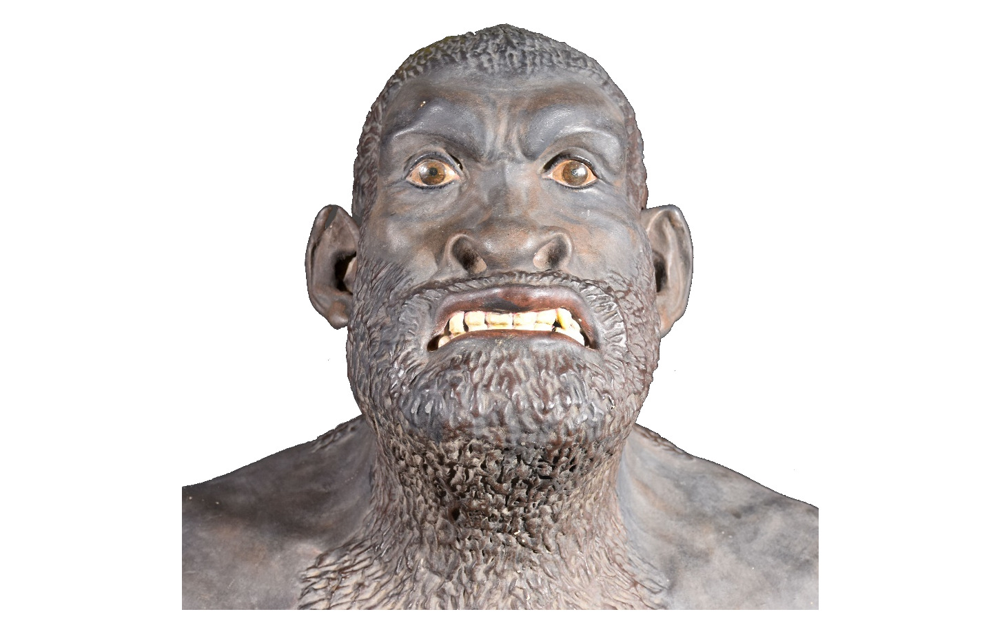 Bust of the Neanderthal Man Bust of the Neanderthal Man