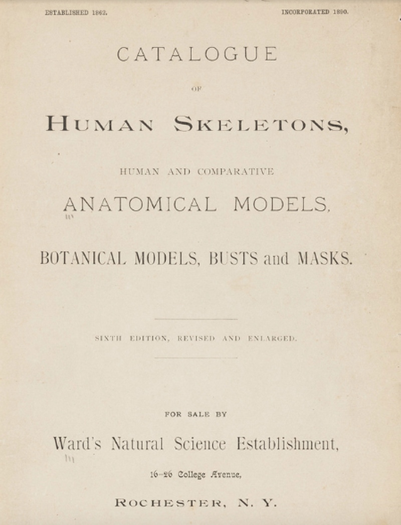 Ward’s Natural Science Establishment, “Catalogue of Human Skeletons, Human and Comparative Anatomical Models, Botanical Models, Buts and Masks”, Rochester (N.Y.), 1893.