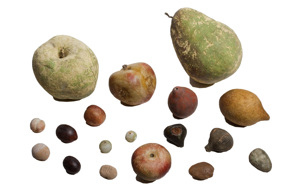 Salvador’s fruit models found in 2013.