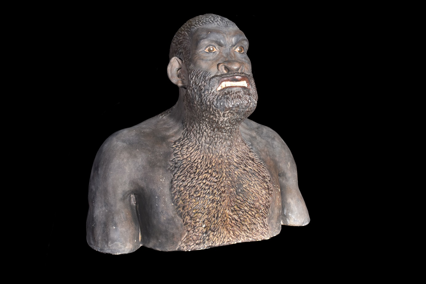 Bust of the Neanderthal Man