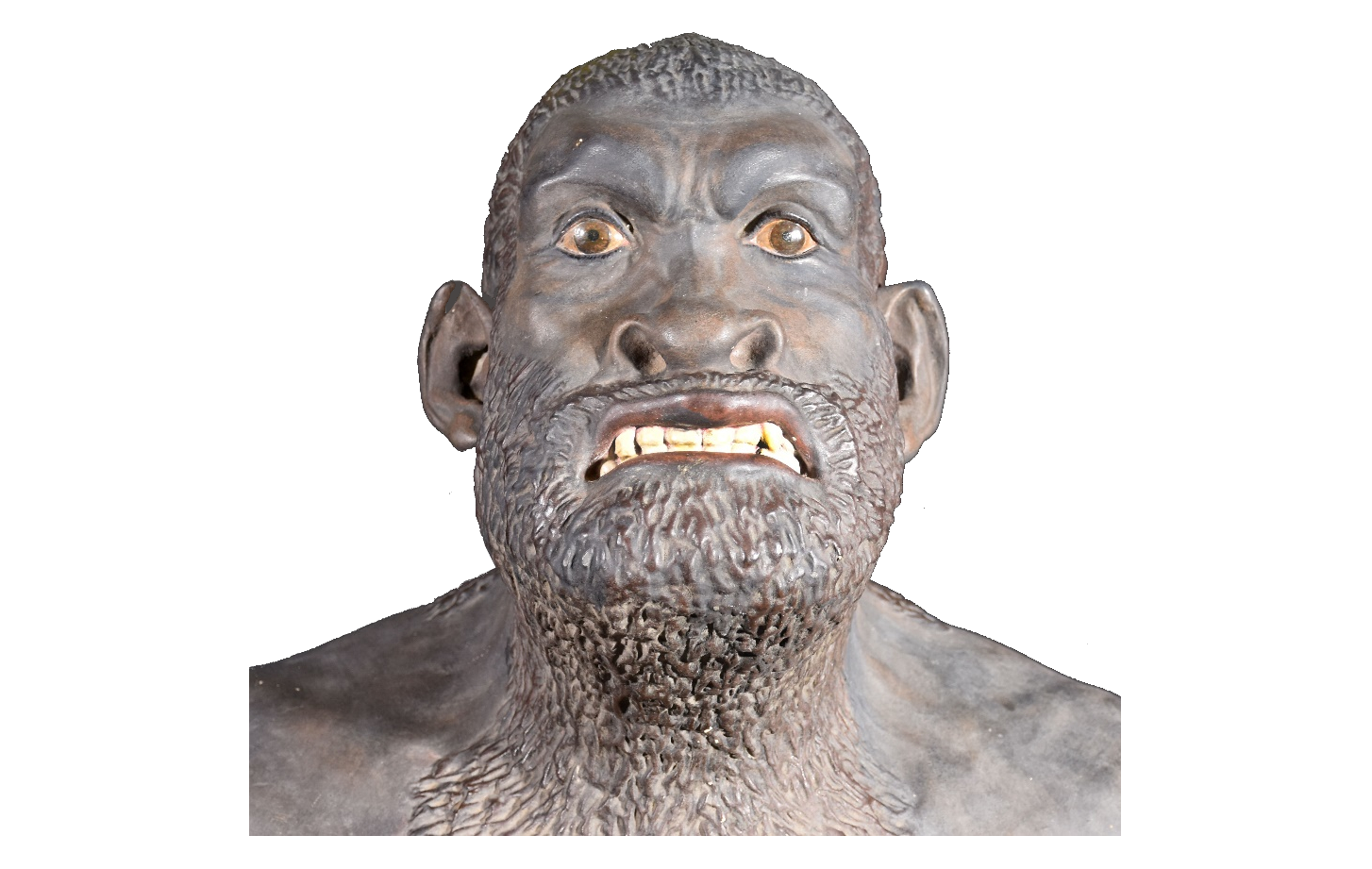 Bust of the Neanderthal Man