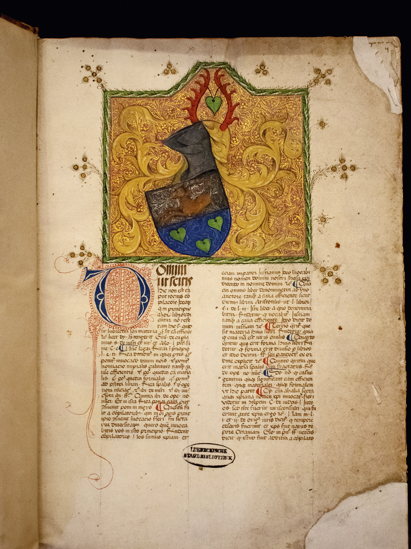 Raum 1 III.2 Bartolus_bea.jpg Raum 1 III.2 Bartolus_bea.jpg