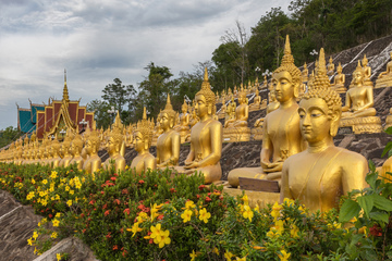 Multiple_rows_of_golden_statues_of_the_Buddha_seated_with_flowers,_at_Wat_Phou_Salao,_Pakse,_Laos.jpg